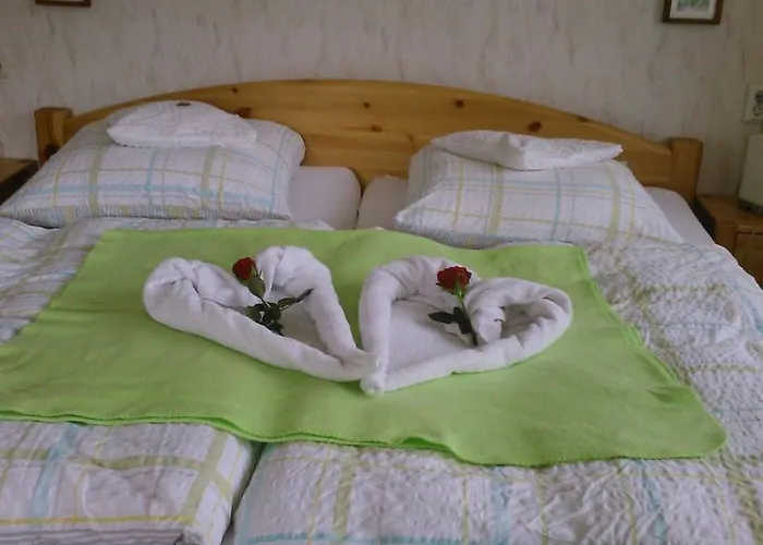 Haus Hubertus Guest house Winterberg